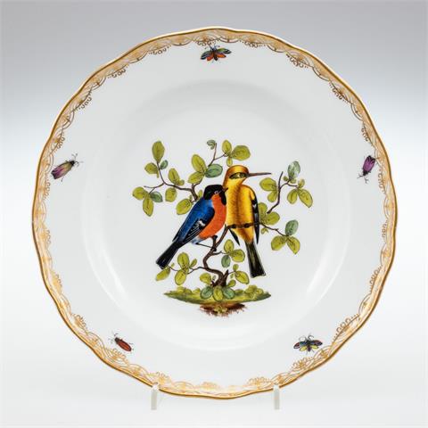 Suppenteller Vögel mit Insekten. Meissen 1850-1924.