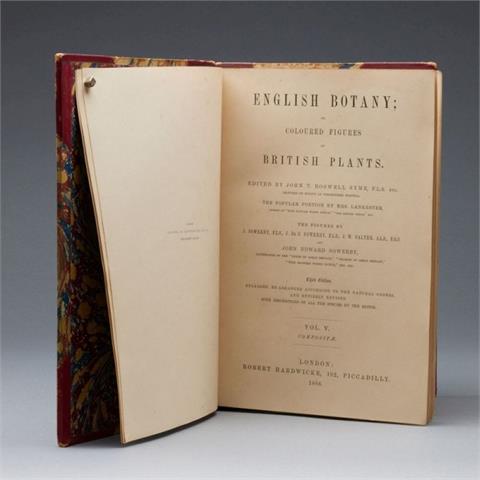 English Botany, John E. Sowerby, Vol. V, London 1866