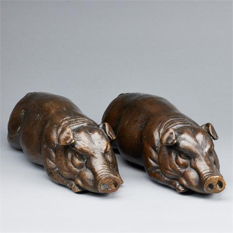 Paar liegende Schweine