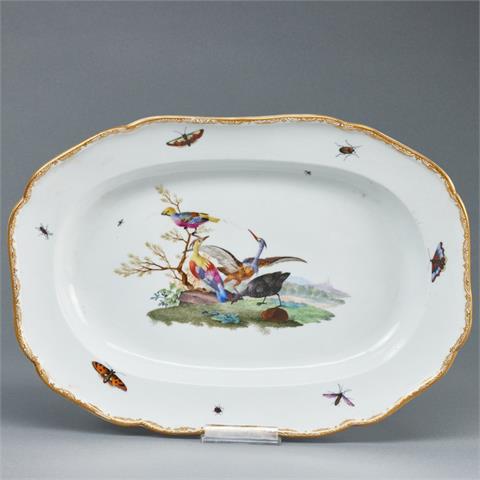 Ovale Platte - Paradiesvögel mit Insekten. Meissen 1774-1817.